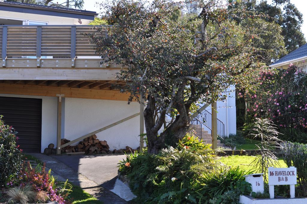 16 Havelock Bed & Breakfast New Plymouth Exterior photo