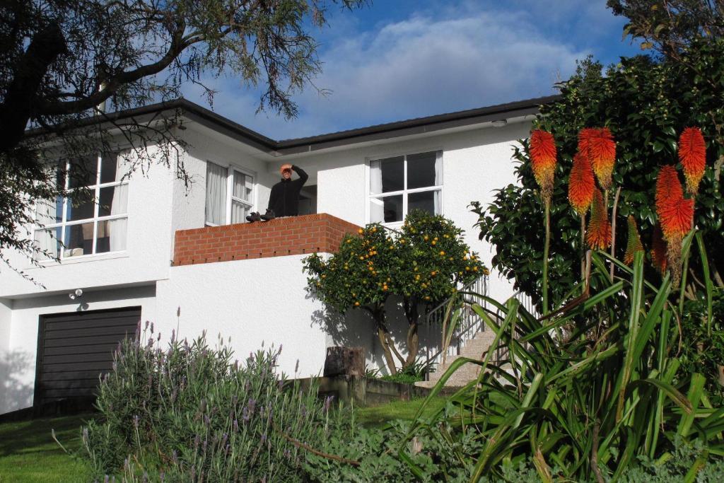 16 Havelock Bed & Breakfast New Plymouth Exterior photo