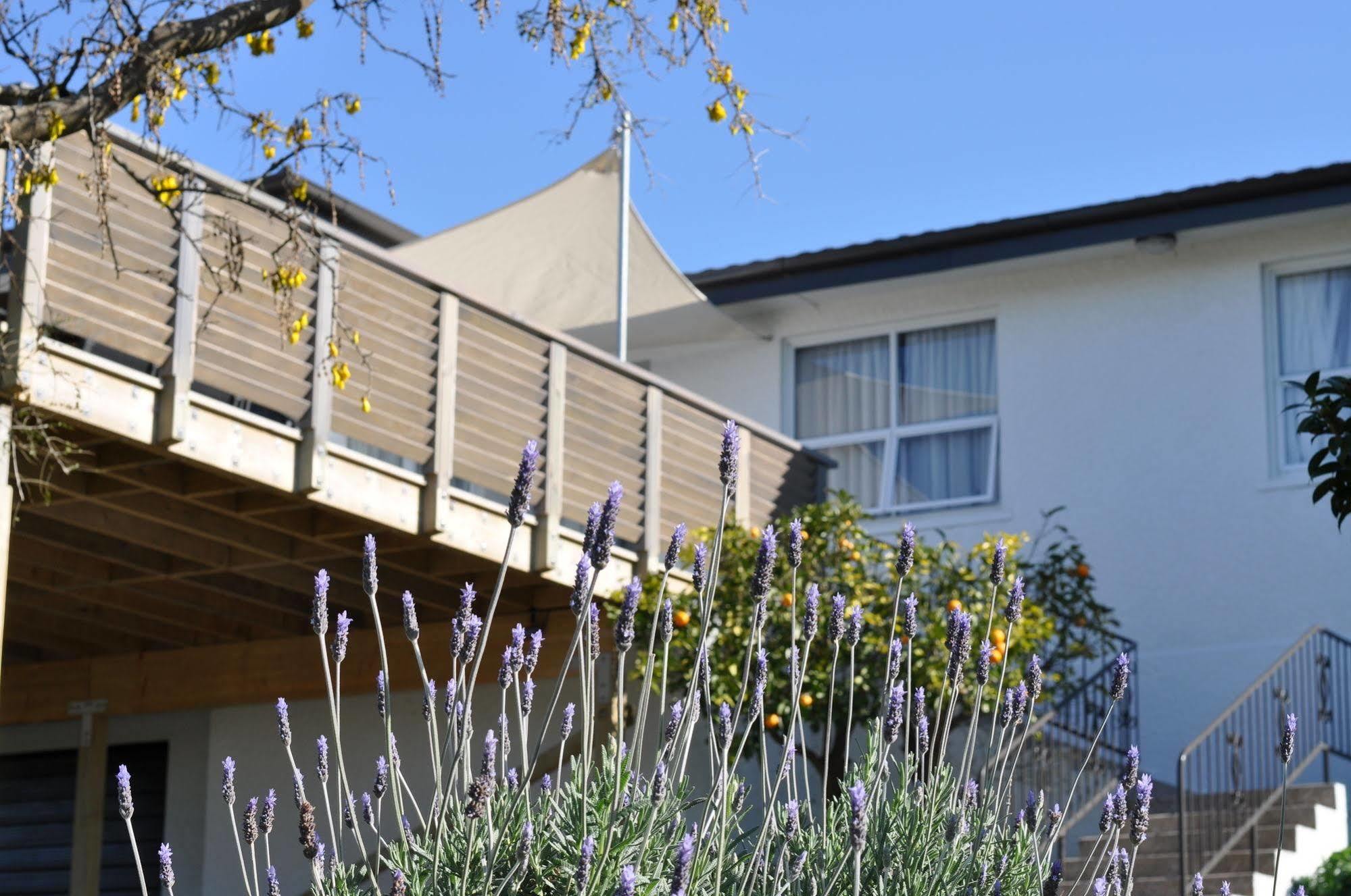 16 Havelock Bed & Breakfast New Plymouth Exterior photo